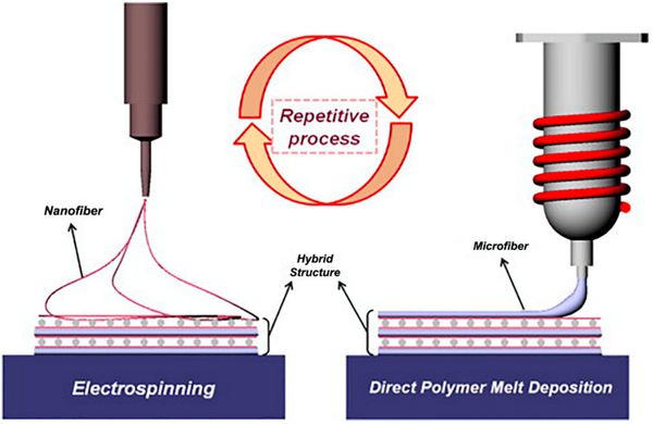 Hybrid setup of melt electrospinning writing-solution electrospinning 3D printing